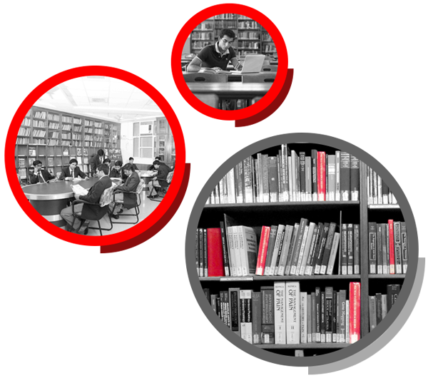 Library Management Software